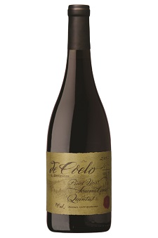 De Coelo | Quintus Pinot Noir 1