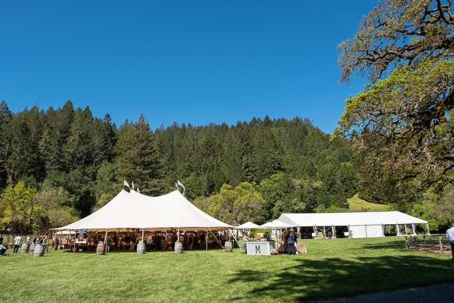 Outdoor scene at Sonoma Barrel Auction 2018 with tents, trees, and attendees on a sunny day.