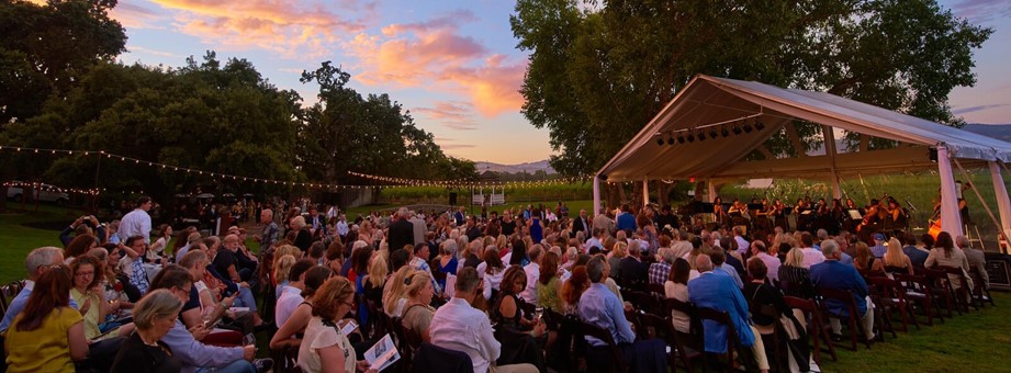 Crowd enjoying outdoor wine tasting at 2018 Festival Napa Valley during sunset.