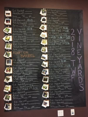 Wine bottle auction at 90 Plus Wine Club with bidding on various bottles.